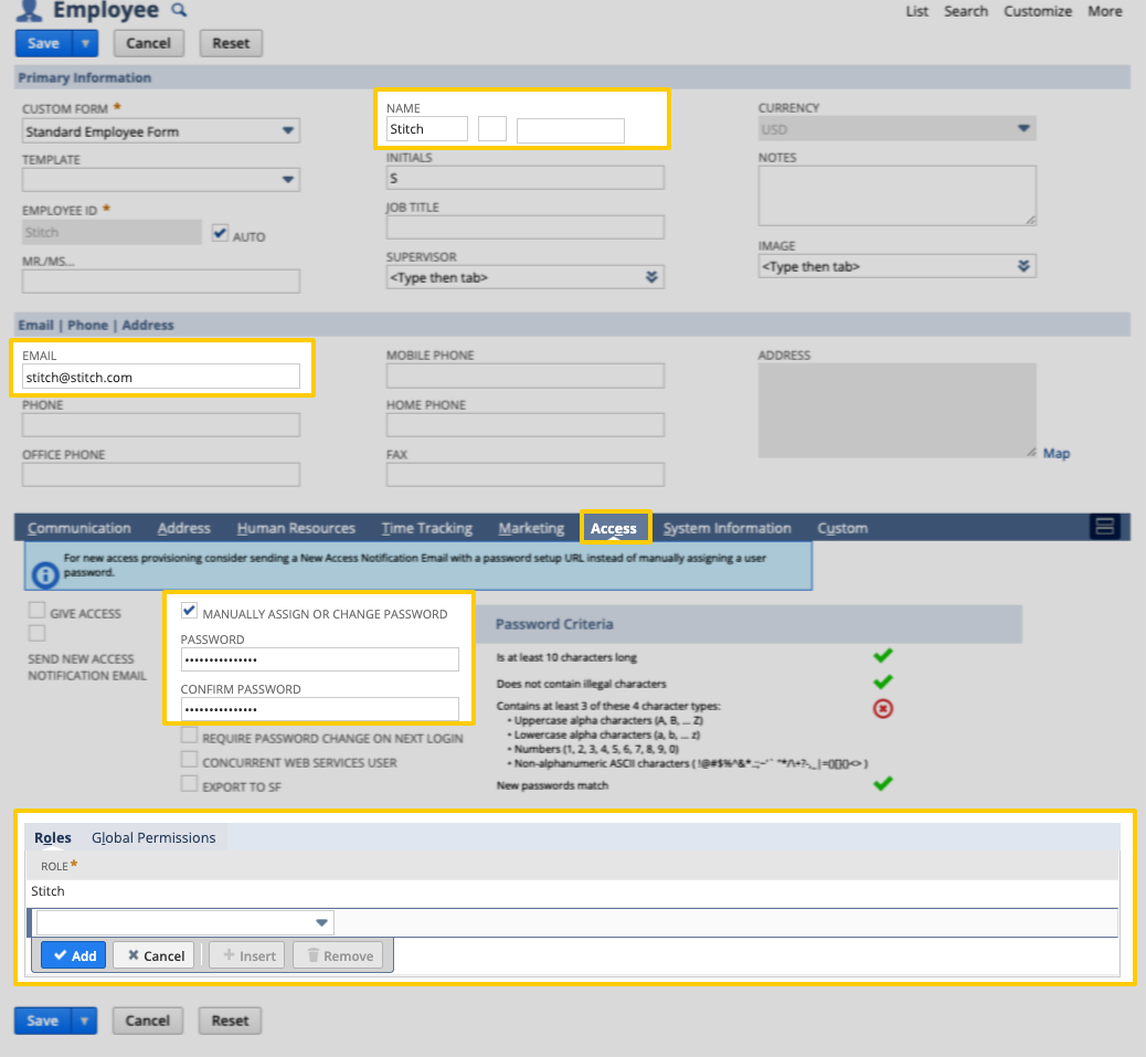 The Name, Email, Access tab, Password, and Role tabs highlighted in the NetSuite